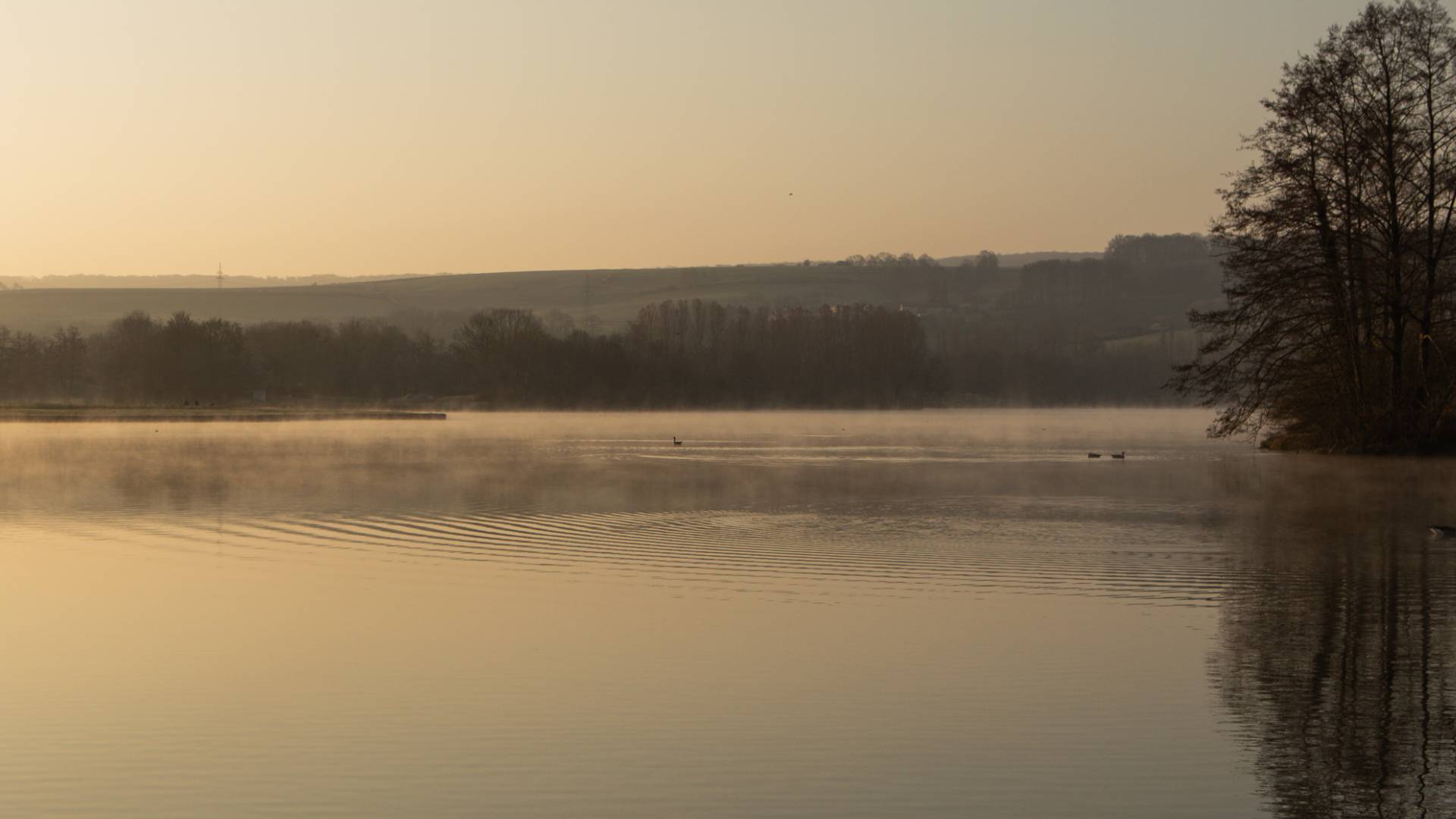 lakeside